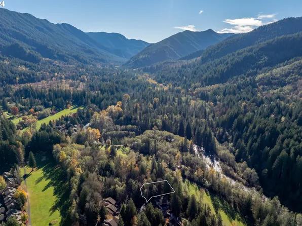 25995 E Bright Ave, Welches, OR 97067