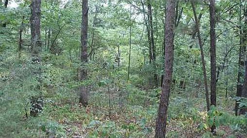 1st image of Orkney Ln