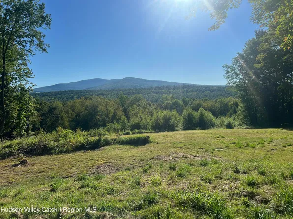 0 Blueberry Estate, Prattsville, NY 12468