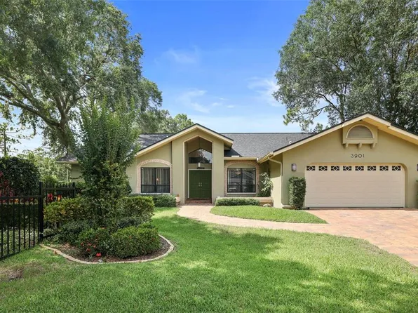3901 Belmoor Dr, Palm Harbor, FL 34685