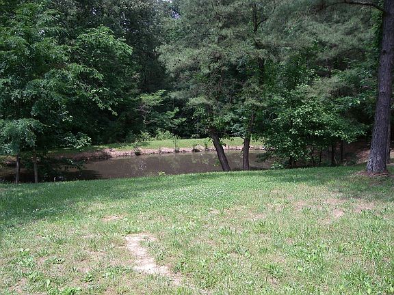 Pond at the end of the yard