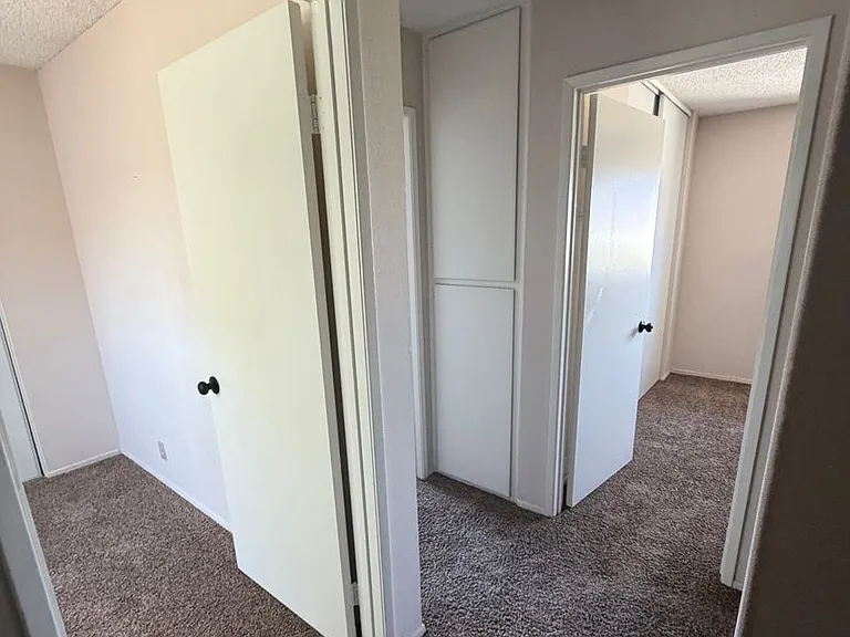 3241 Triumph Ln — Photo 28