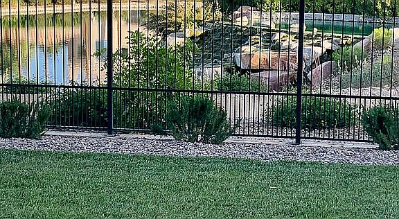 5th image of 8905 Canyon Springs Dr