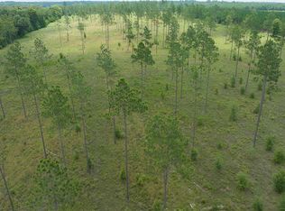 Not Named, Live Oak, FL 32060