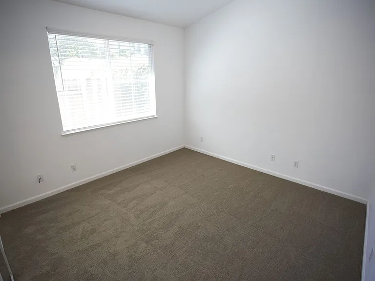 8 Constantine Ct — Photo 17