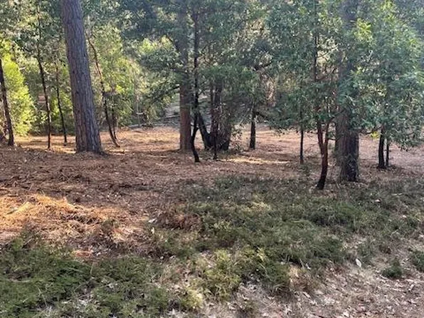 6503 Deer Canyon Ct, Placerville, CA 95667