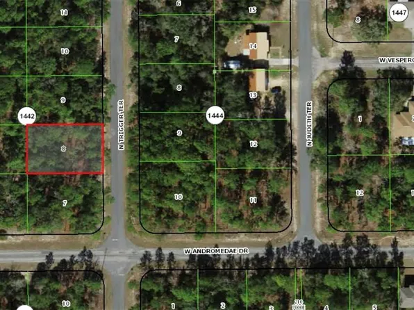 11032 N Trigger Ter Lot 8, Dunnellon, FL 34433