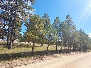 3rd image of 13395 Frank Rd