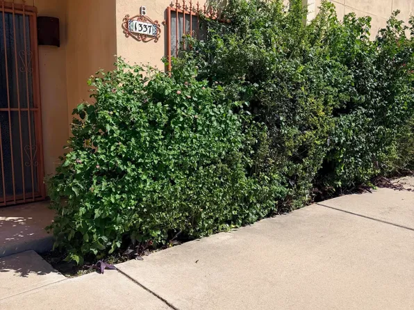 1337 E Fort Lowell Rd APT B, Tucson, AZ 85719