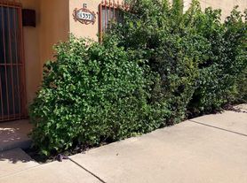 1337 E Fort Lowell Rd, Tucson, AZ
