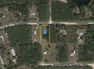 211 Ponderosa Pines Ct, Georgetown, FL 32139