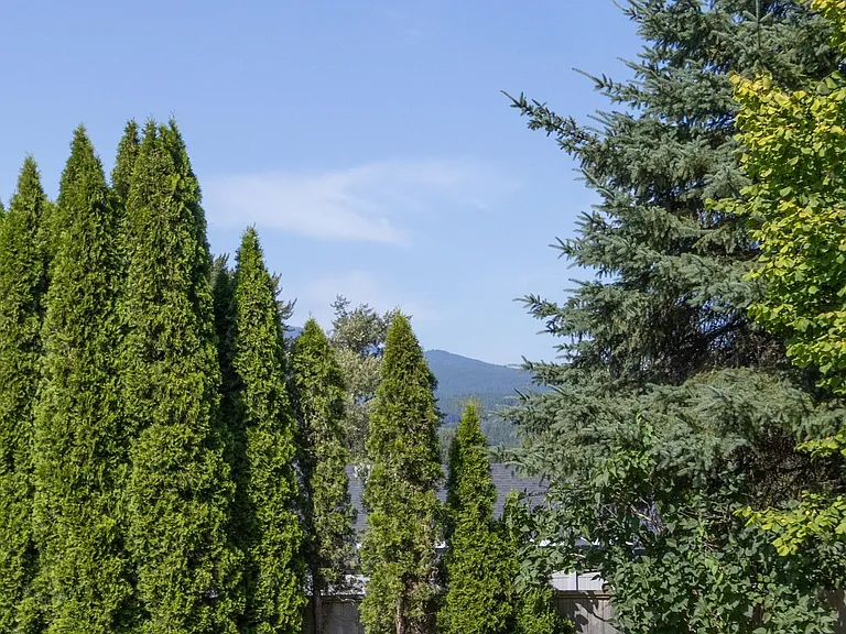 22531 Kendrick Loop — Photo 23