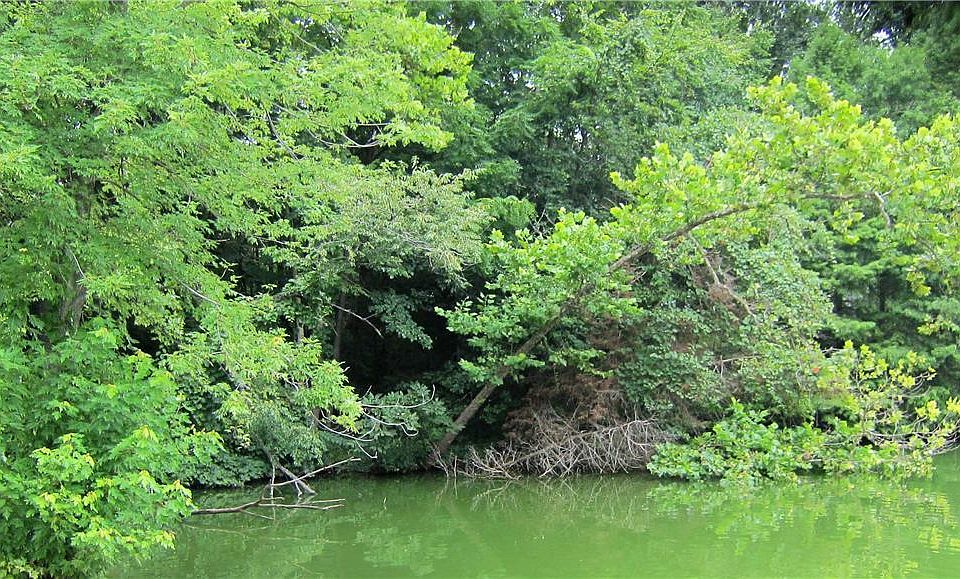 1st image of 0 Lake Hills Dr