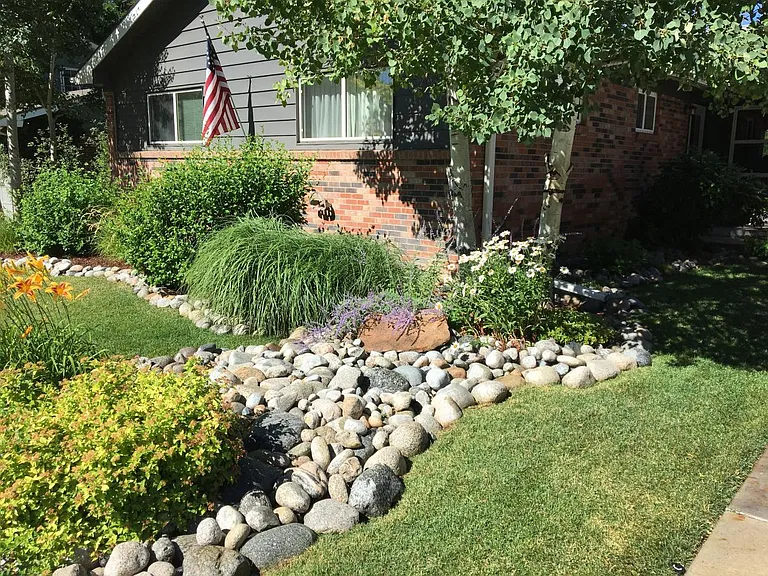 Front Yard