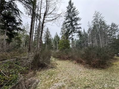 0 E Ritz Drive, Shelton, WA, 98584