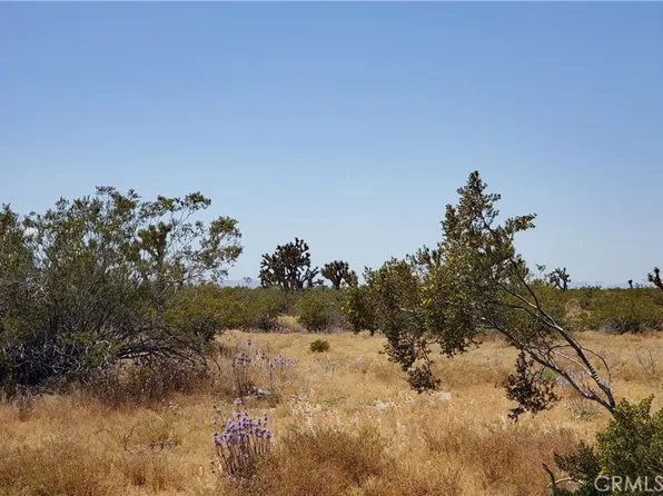 0 Vicinity Ave #U, Llano, CA 93544