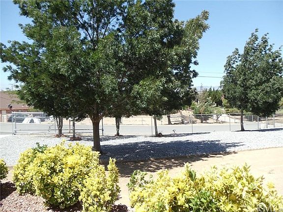 FRONT LANDSCAPING MATURE TREES AND SHUBS