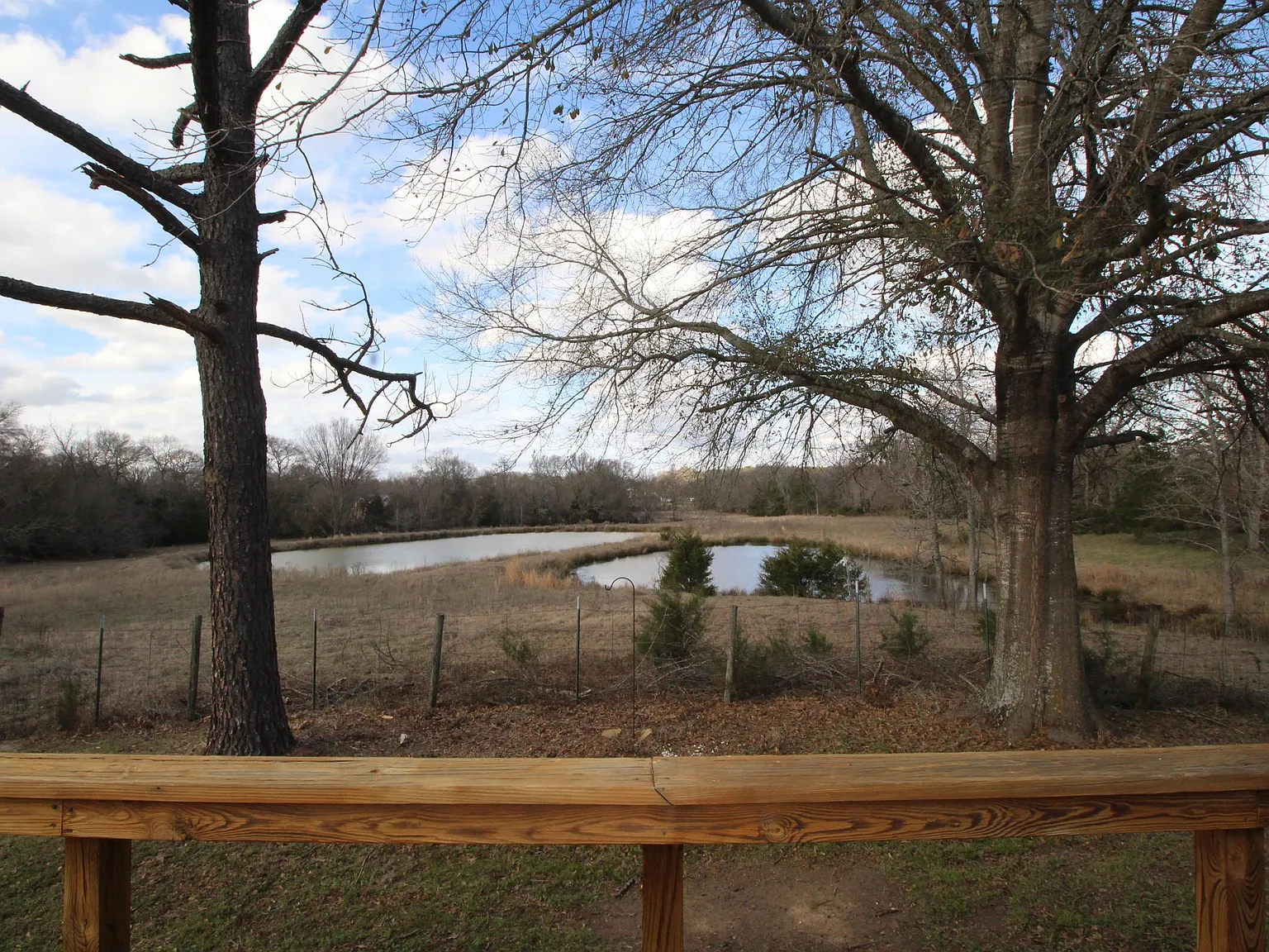 7731 FM 857 - 1 — Photo 3
