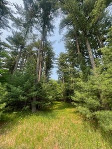 Benson Rd, Grantsburg, WI, 54840