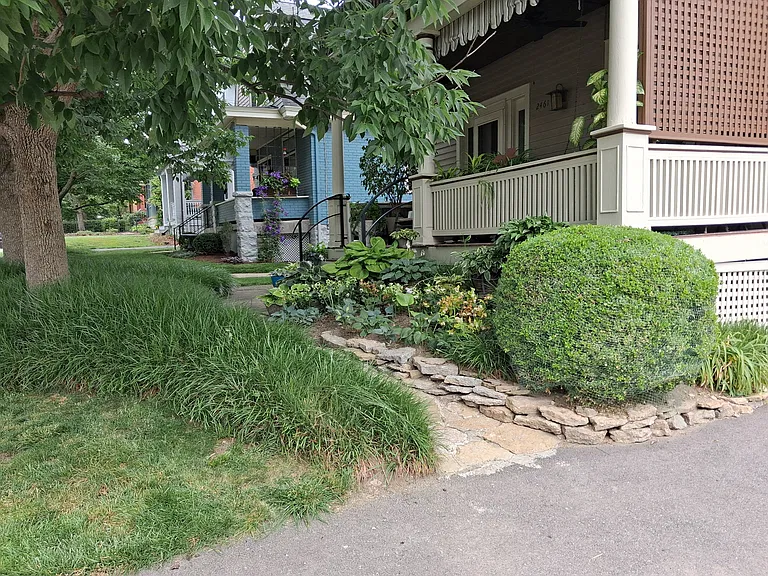 2461 Fairview Ave #1 — Photo 2