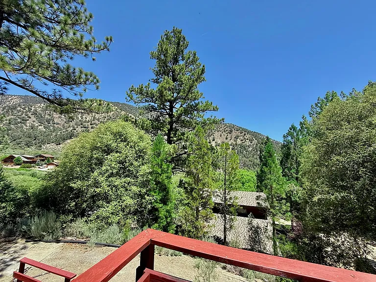 2608 Basel Ct — Photo 4