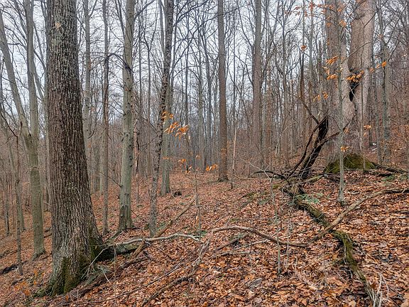 5th image of 0 Edwina Rd