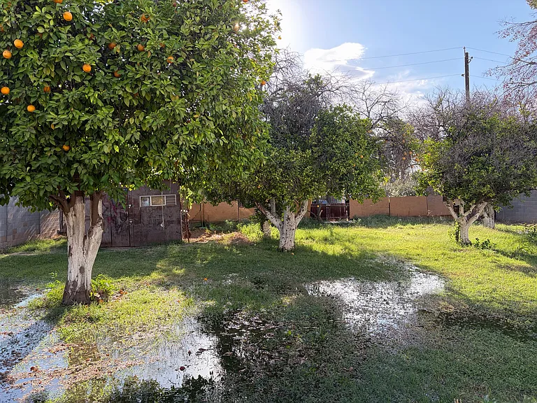 6112 N 47th Ave — Photo 10