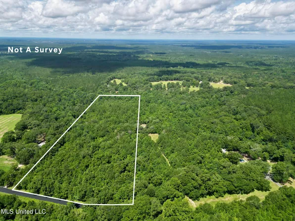 2 Gumpond Beall Rd, Lumberton, MS 39455