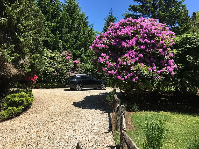 Manor Ln — Photo 22