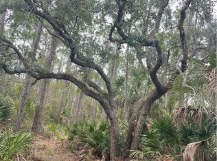 SW 155th Court Lot 15, Cedar Key, FL 32625