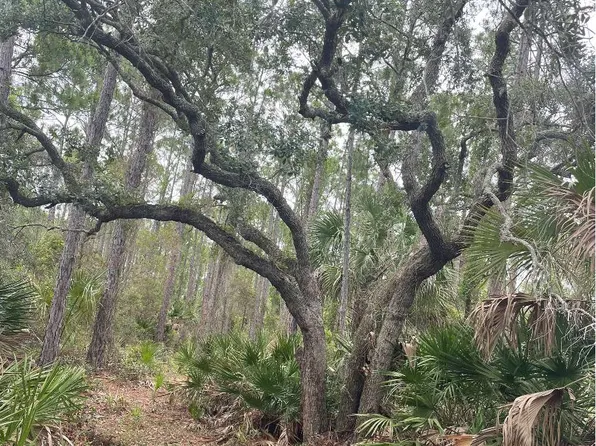 SW 155th Court Lot 15, Cedar Key, FL 32625