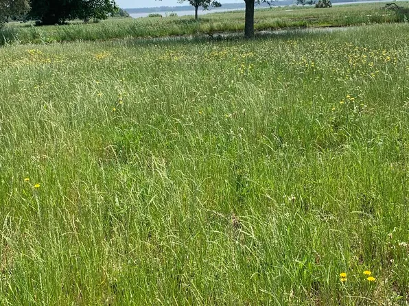 lot 120 Ferry House Point, Georgetown, SC 29440