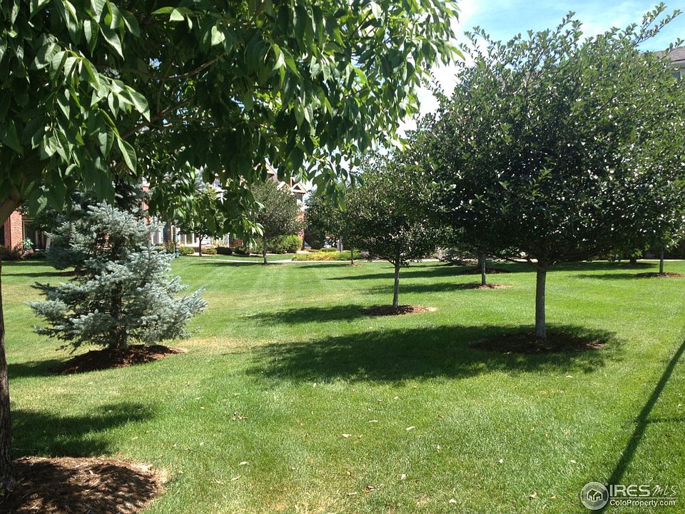 2nd image of 804 Summer Hawk Dr #204