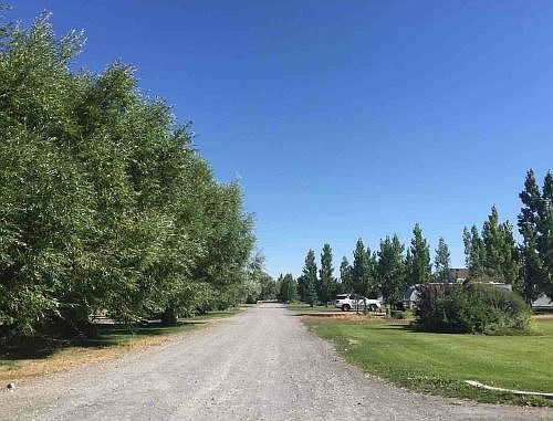 2nd image of 1695 Clements Ln