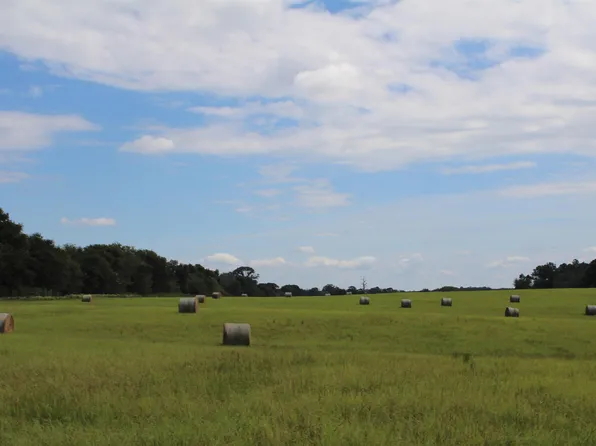 County Road 4619 Tract 6 & 12, Troup, TX 75789