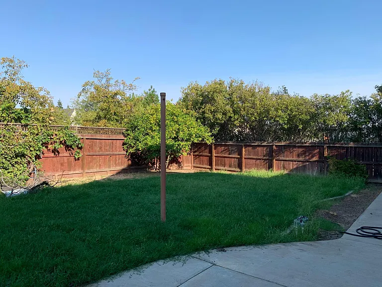 Back yard
