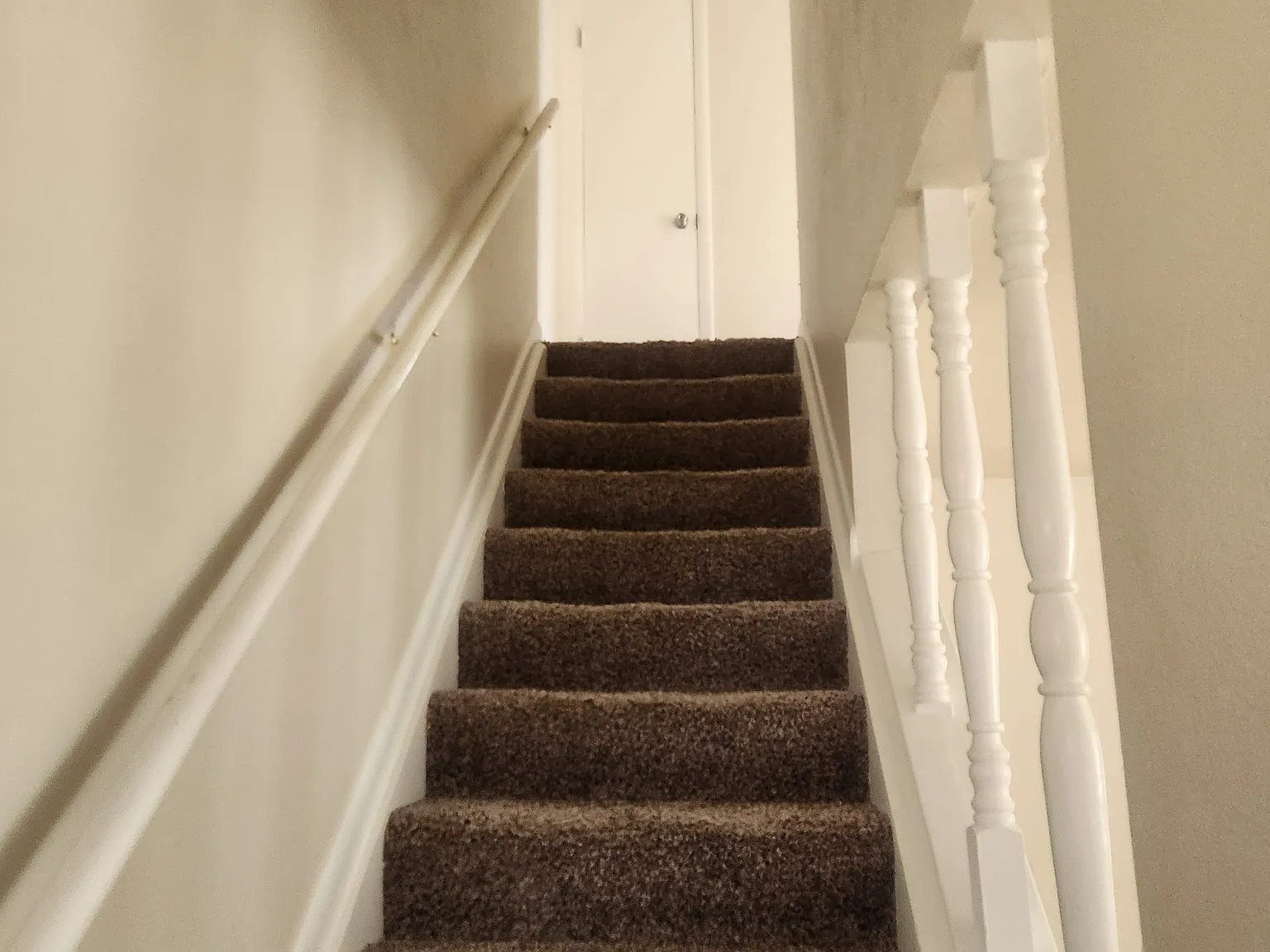 2 bed, 1.5 bath, 1000 sqft, $1,675 — Photo 3
