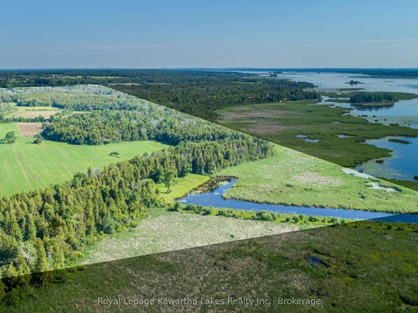 36 Spen Haven Rd, Kawartha Lakes, ON K9V 0K3