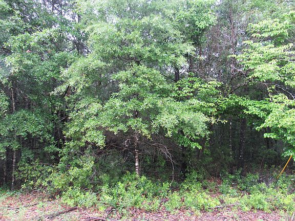3rd image of 0 NW Felix Flanders Rd
