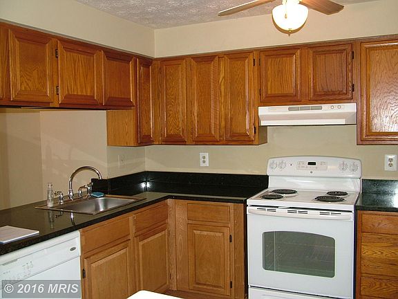 4th image of 13612 Forest Pond Ct