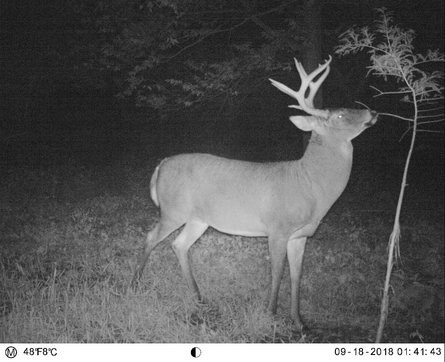 2nd image of 2620 Solomon Rd