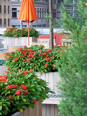 Rented by The Jack Parker Corporation | media 9