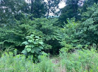 Whistle Valley Rd, New Tazewell, TN 37825