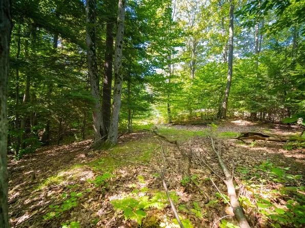 Emerald Rdg #1, Onekama, MI 49675