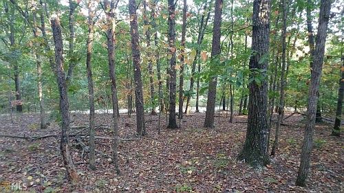 2nd image of White Oak Trl