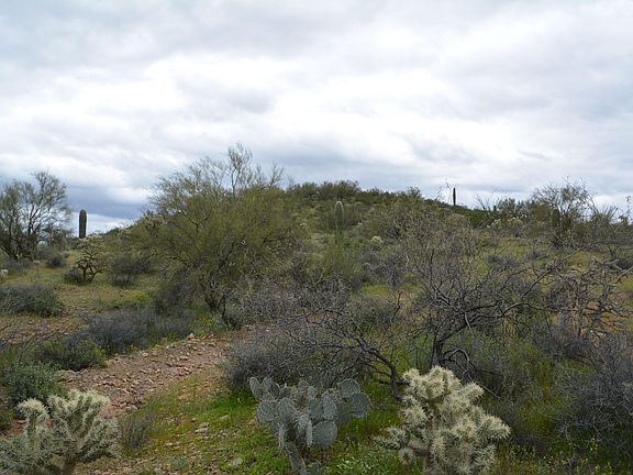 2nd image of 5630 N Mountain Reserve Pl