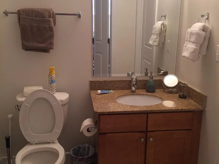 Guest bathroom/2nd bathroom