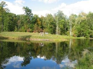 Edgewood Dr, Bellevue, MI 49021