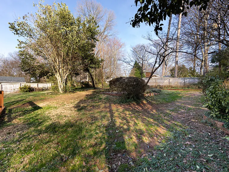 BACKYARD AGAIN! SO BIG!