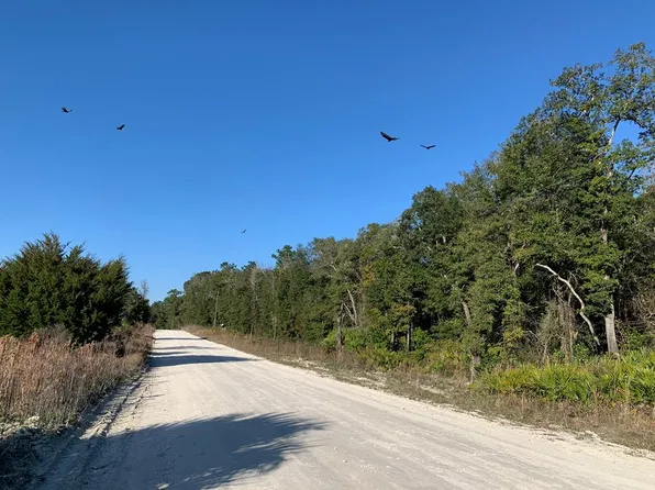 0 186th St, Old Town, FL 32680